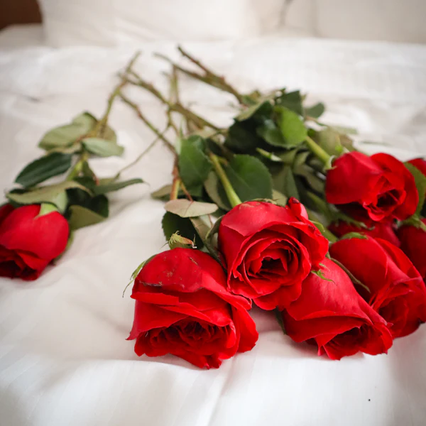 Red Roses Bed Decoration